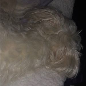 Meet your Posher, Madelyn